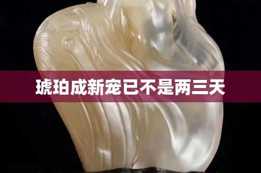 琥珀成新寵已不是兩三天
