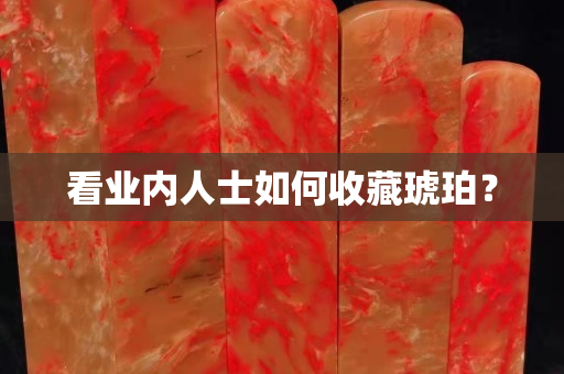 看業內人士如何收藏琥珀？