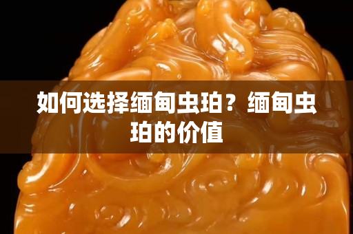 如何選擇緬甸蟲珀？緬甸蟲珀的價值