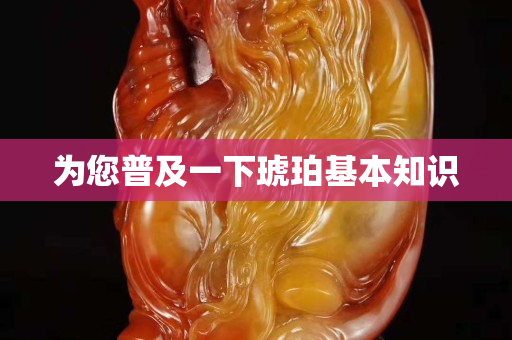 為您普及一下琥珀基本知識