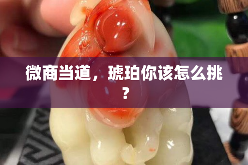 微商當道，琥珀你該怎么挑？