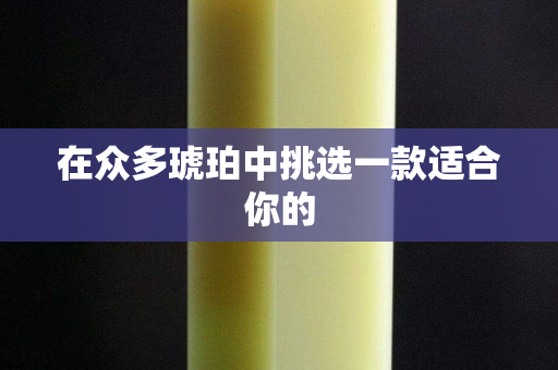 在眾多琥珀中挑選一款適合你的