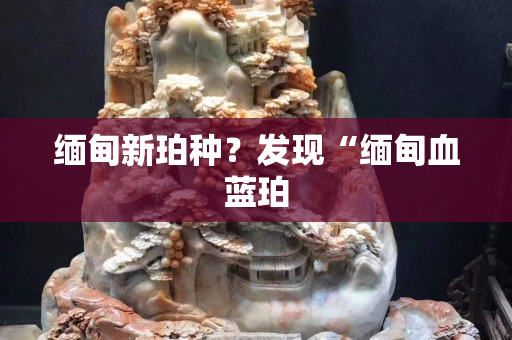 緬甸新珀種？發現“緬甸血藍珀