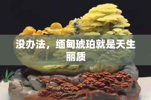 沒辦法，緬甸琥珀就是天生麗質