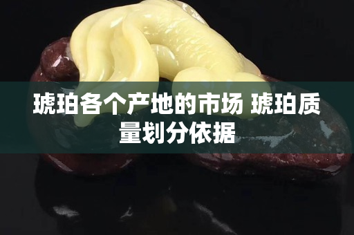 琥珀各個(gè)產(chǎn)地的市場(chǎng) 琥珀質(zhì)量劃分依據(jù)
