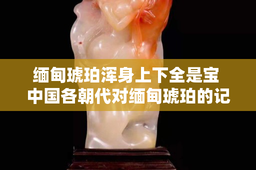 緬甸琥珀渾身上下全是寶 中國各朝代對緬甸琥珀的記載