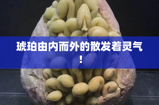 琥珀由內而外的散發著靈氣！