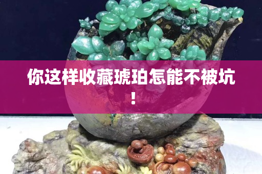 你這樣收藏琥珀怎能不被坑！