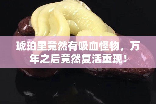 琥珀里竟然有吸血怪物，萬年之后竟然復(fù)活重現(xiàn)！