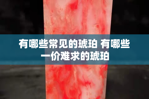 有哪些常見的琥珀 有哪些一價(jià)難求的琥珀