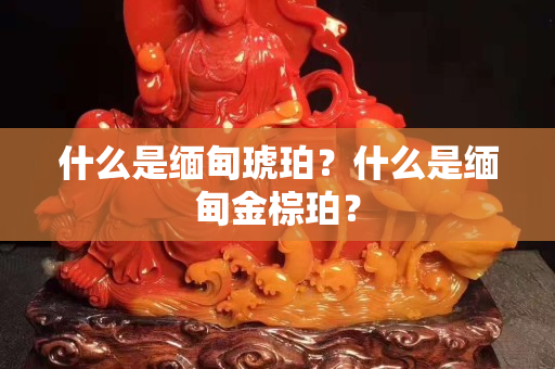 什么是緬甸琥珀？什么是緬甸金棕珀？