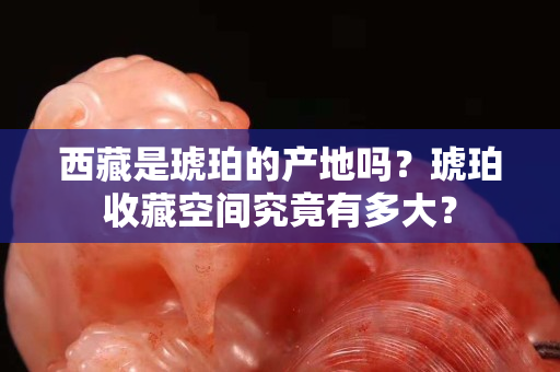 西藏是琥珀的產(chǎn)地嗎？琥珀收藏空間究竟有多大？