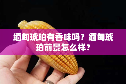緬甸琥珀有香味嗎？緬甸琥珀前景怎么樣？