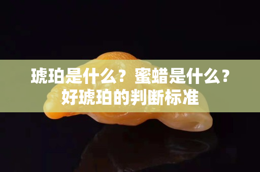 琥珀是什么？蜜蠟是什么？好琥珀的判斷標(biāo)準(zhǔn)