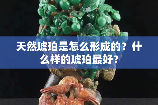 天然琥珀是怎么形成的？什么樣的琥珀最好？