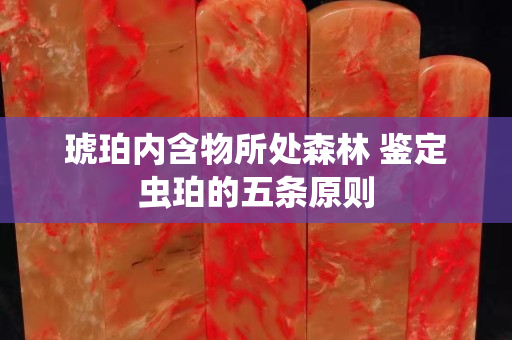 琥珀內(nèi)含物所處森林 鑒定蟲珀的五條原則