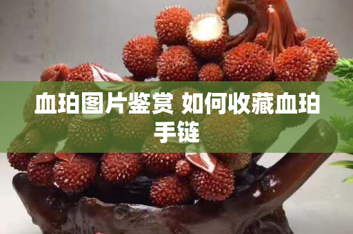 血珀圖片鑒賞 如何收藏血珀手鏈