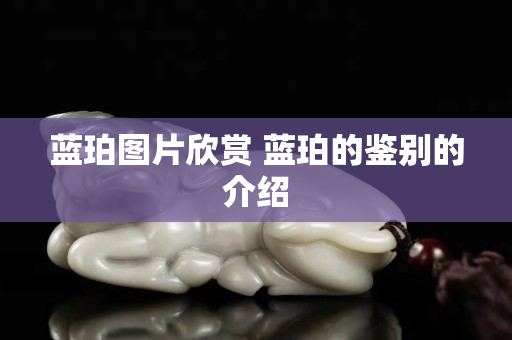 藍珀圖片欣賞 藍珀的鑒別的介紹