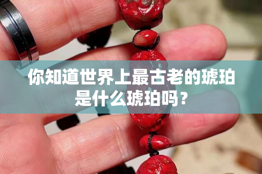 你知道世界上最古老的琥珀是什么琥珀嗎？