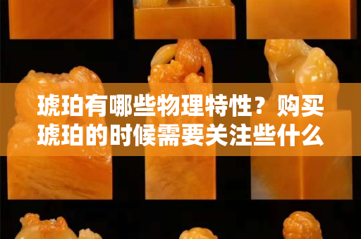 琥珀有哪些物理特性？購買琥珀的時候需要關注些什么呢？
