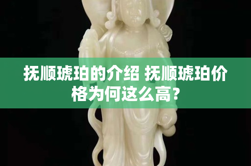 撫順琥珀的介紹 撫順琥珀價格為何這么高？