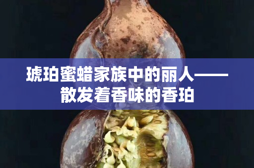 琥珀蜜蠟家族中的麗人——散發著香味的香珀
