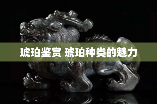 琥珀鑒賞 琥珀種類的魅力