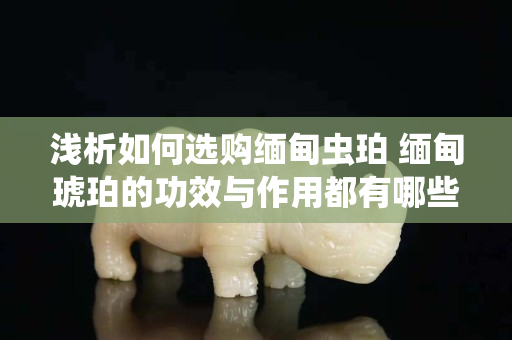 淺析如何選購緬甸蟲珀 緬甸琥珀的功效與作用都有哪些？