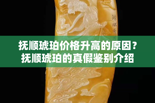 撫順琥珀價格升高的原因？撫順琥珀的真假鑒別介紹