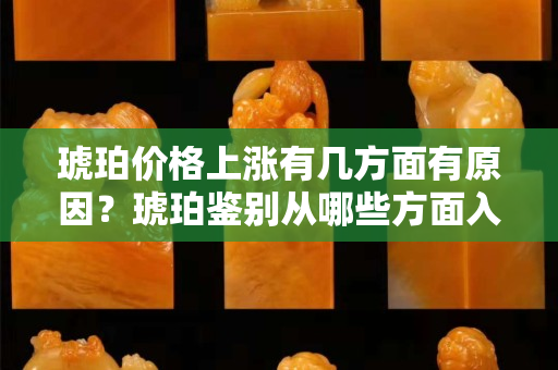 琥珀價格上漲有幾方面有原因？琥珀鑒別從哪些方面入手？