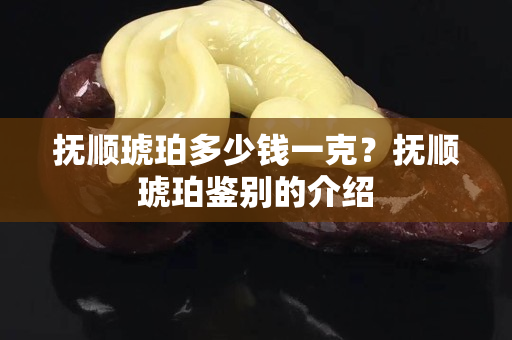 撫順琥珀多少錢一克？撫順琥珀鑒別的介紹