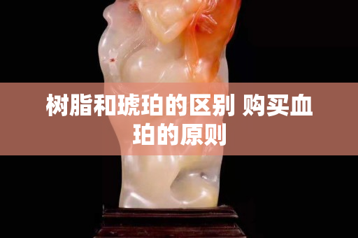 樹脂和琥珀的區別 購買血珀的原則