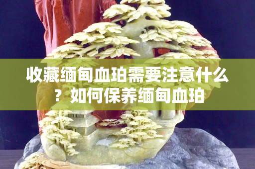 收藏緬甸血珀需要注意什么？如何保養緬甸血珀