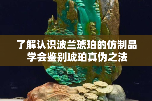 了解認識波蘭琥珀的仿制品 學會鑒別琥珀真偽之法