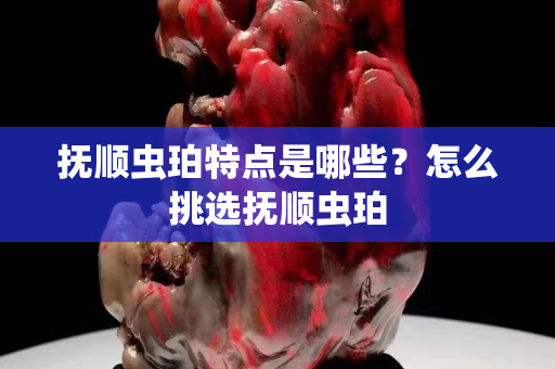 撫順蟲珀特點是哪些？怎么挑選撫順蟲珀