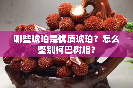 哪些琥珀是優質琥珀？怎么鑒別柯巴樹脂？