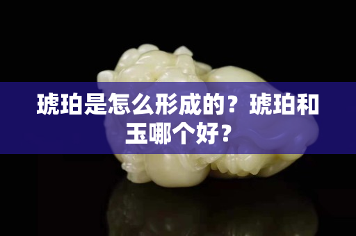 琥珀是怎么形成的？琥珀和玉哪個好？