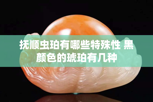 撫順蟲珀有哪些特殊性 黑顏色的琥珀有幾種