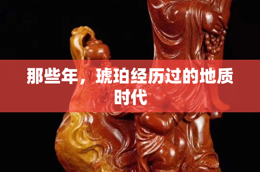 那些年，琥珀經歷過的地質時代