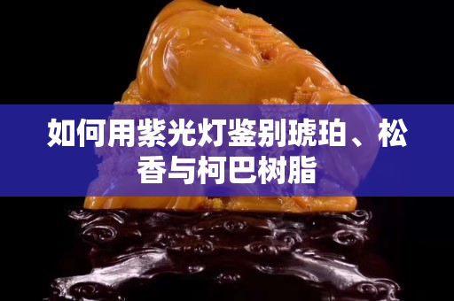 如何用紫光燈鑒別琥珀、松香與柯巴樹(shù)脂