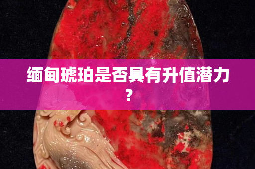 緬甸琥珀是否具有升值潛力？