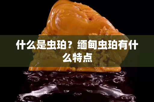 什么是蟲珀？緬甸蟲珀有什么特點