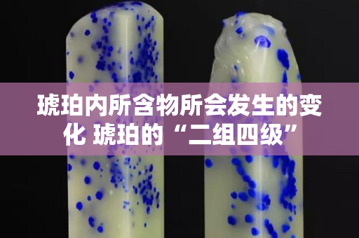 琥珀內所含物所會發生的變化 琥珀的“二組四級”
