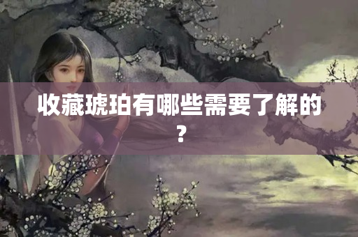 收藏琥珀有哪些需要了解的？