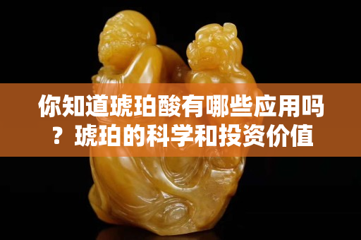 你知道琥珀酸有哪些應用嗎？琥珀的科學和投資價值