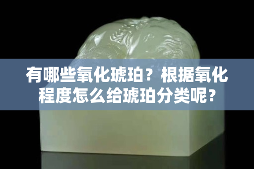 有哪些氧化琥珀？根據氧化程度怎么給琥珀分類呢？