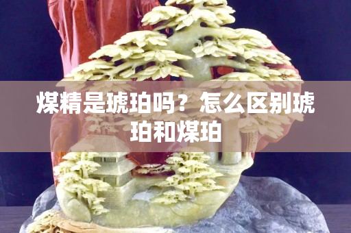 煤精是琥珀嗎？怎么區別琥珀和煤珀