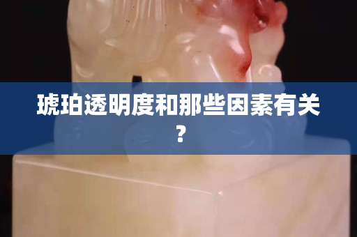 琥珀透明度和那些因素有關？