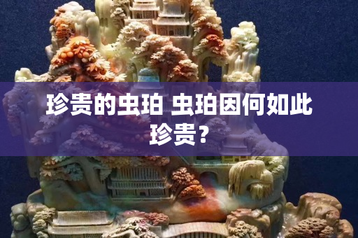 珍貴的蟲珀 蟲珀因何如此珍貴？