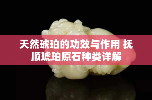 天然琥珀的功效與作用 撫順琥珀原石種類詳解